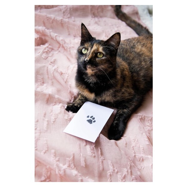 Clean Touch Ink Pad Paw Print For Pet Dog Cat Scrapbooks Imprint Card Making Kit