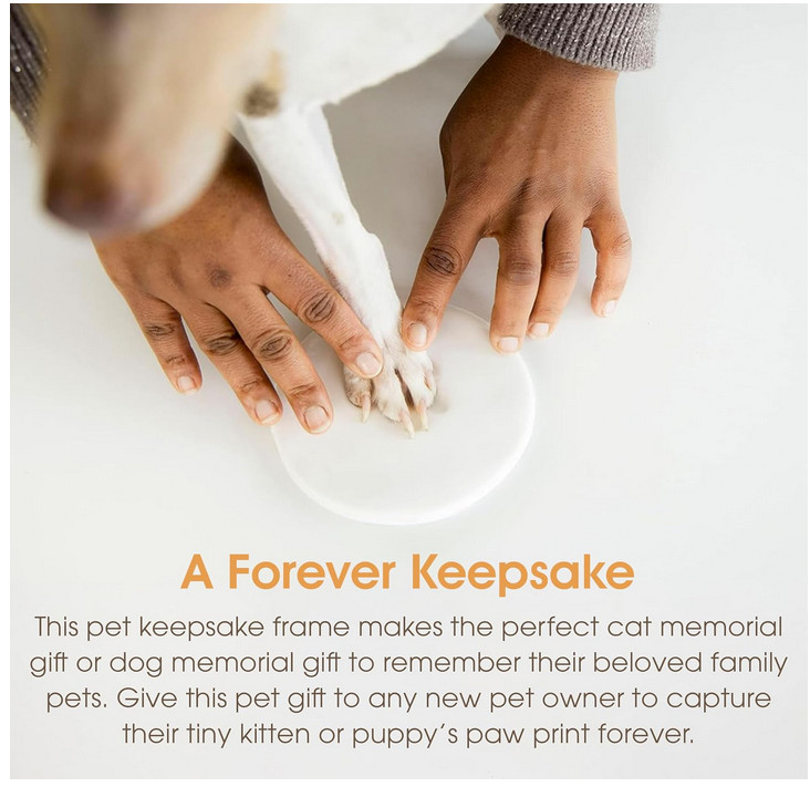 Pearhead Pet Paw Print Photo Frame with Clay Imprint Kit for Cats and Dogs