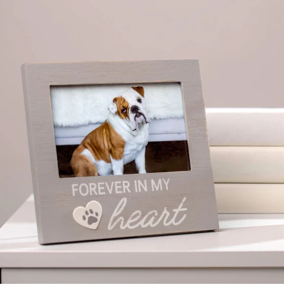 Pearhead Pet Forever In My Heart Memorial Keepsake Picture Frame, Color Varies