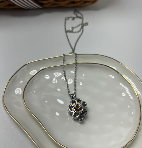 Paw Print Cremation Necklace Jewelry Pendant Urn for Ashes Pet Dog Cat Memorial