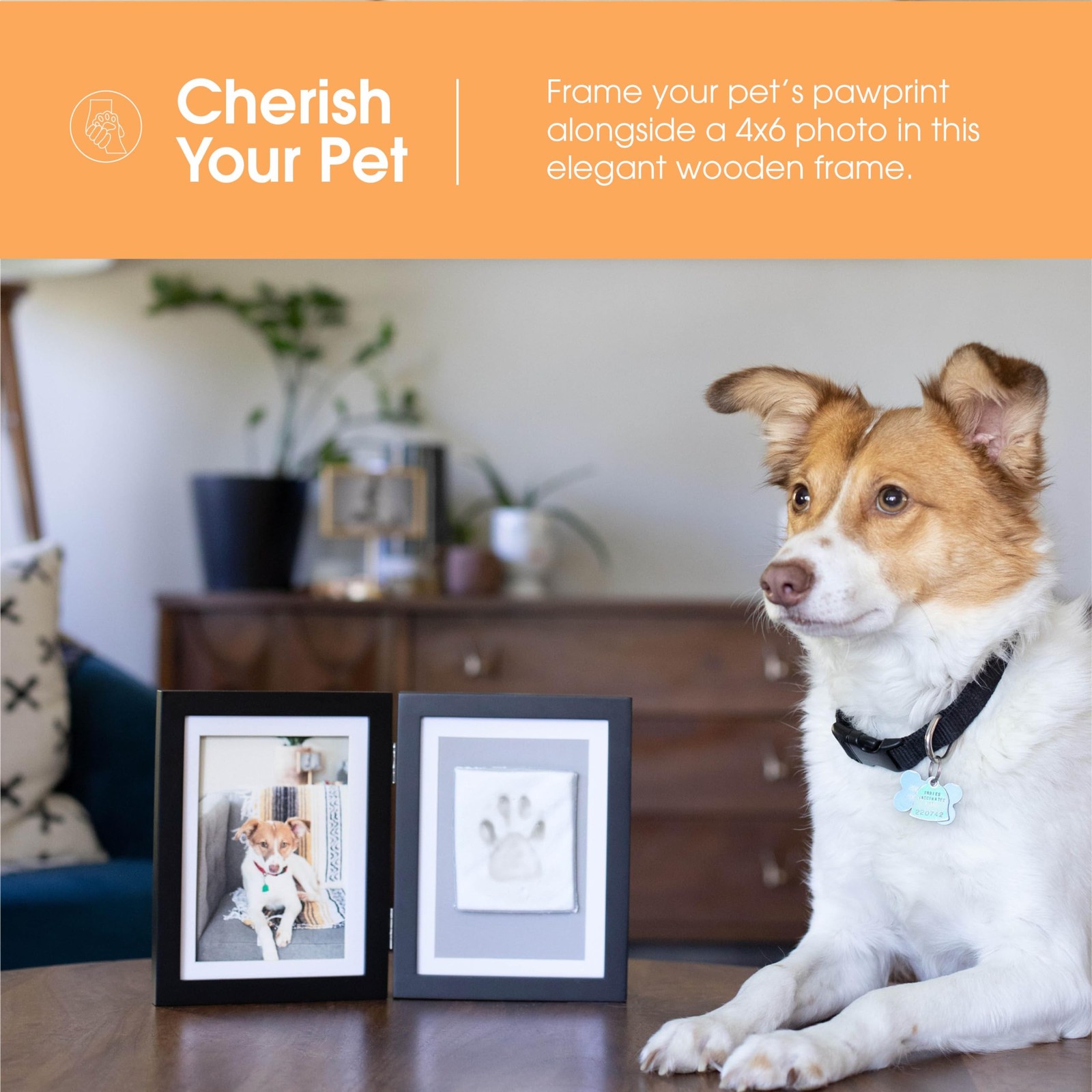 Pearhead Pet Paw Print Photo Frame With Clay Imprint Kit – Wooden Pet Paw Pri…