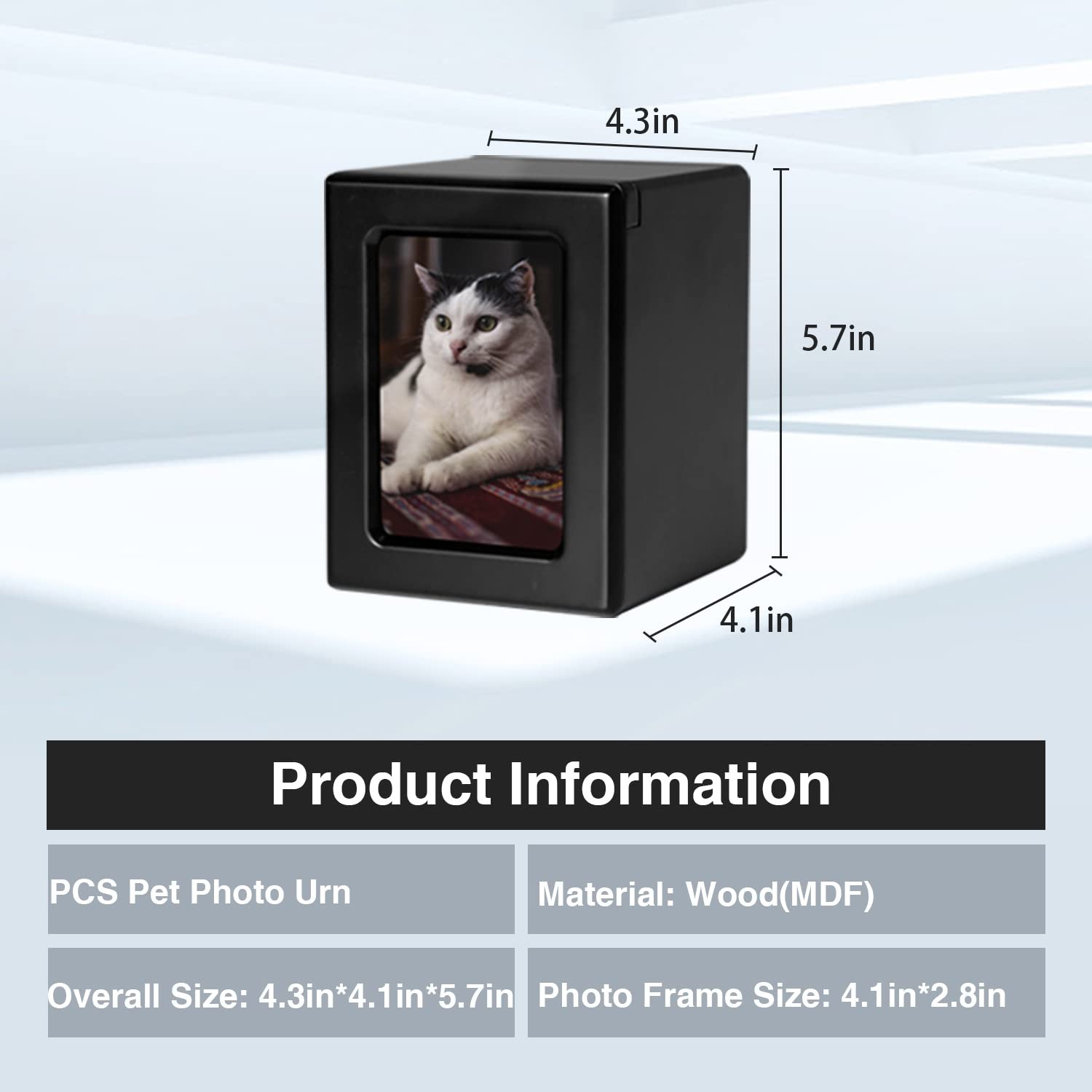 PCS Cat Urn for Ashes Photo Urn, BlackMedium Pet Cremation Box