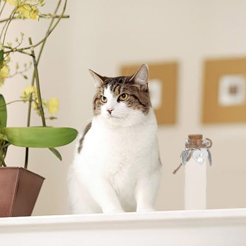 4pcs Pet Hair Keepsake Bottle – Mini Glass Vial for Dogs & Cats