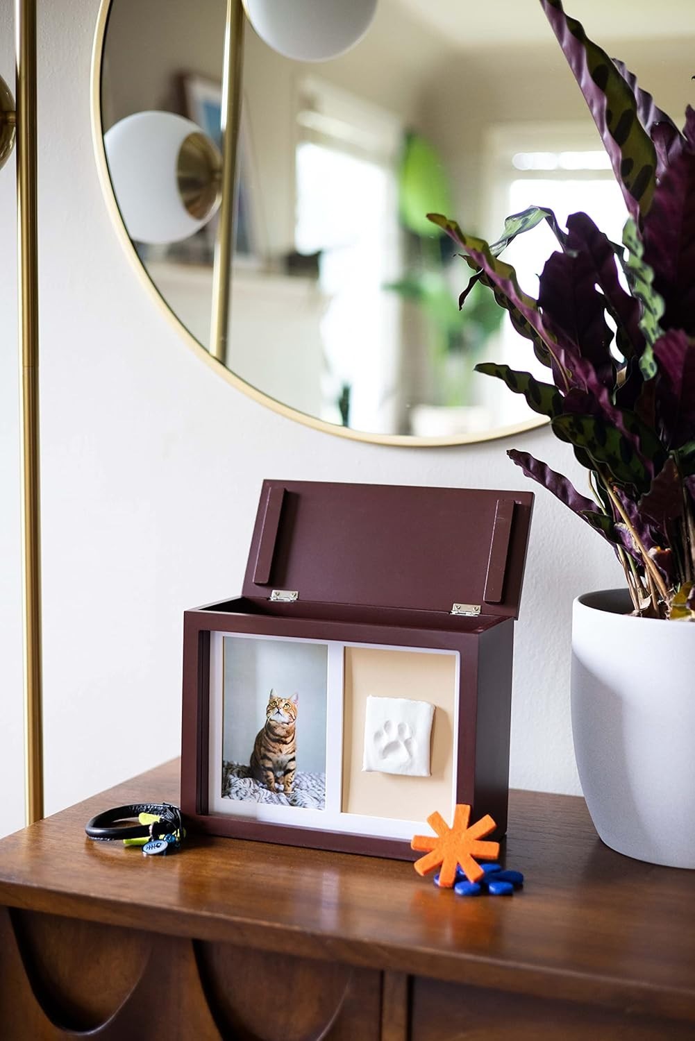 Personalized Paw Print Memory Box for Dogs and Cats – Includes Urn and Clay Kit