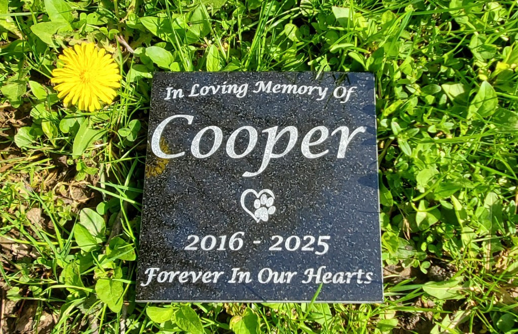 Pet Memorial Granite Stone Engraved Grave Marker Headstone Garden Plaque d5