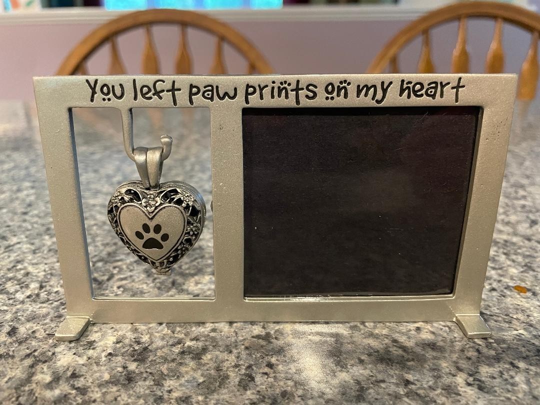 Pet/Dog Memorial Photo Frame with Vial For Ashes Inside Heart~Unused