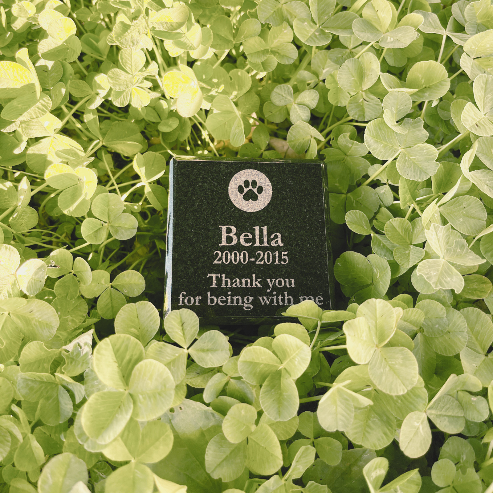 [Made in Japan · Pet Memorial Stone] Type TSP | Natural Black Granite