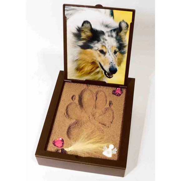 PawPals Paw Print Keepsake Classic Mold Kit – BRAND NEW (LARGE)