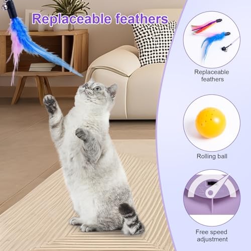 FITWOWFIT Interactive Cat Toy for Indoor Cats K, Feather, Track Ball, Automatic