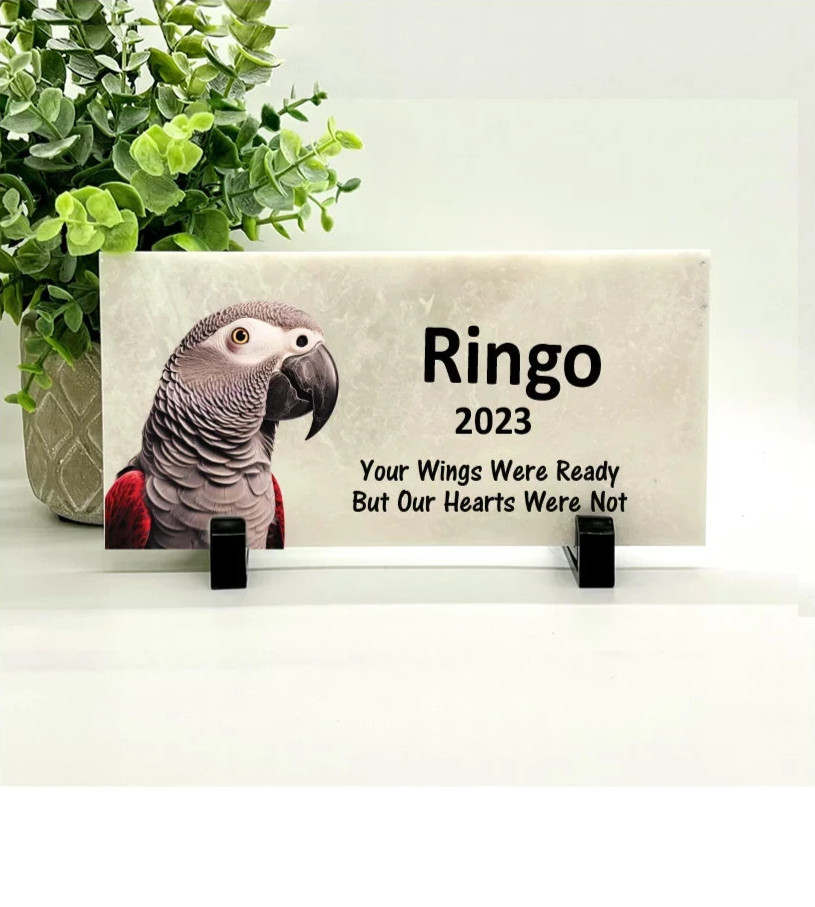 African Grey Memorial – Personalized Pet Memorial Stone -Bird Loss sympathy Gift