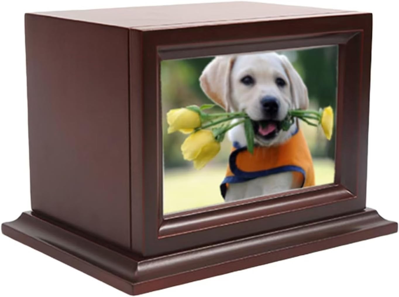 Elegant Wooden Pet Memorial Urn with Photo Frame for Small/Medium Pets