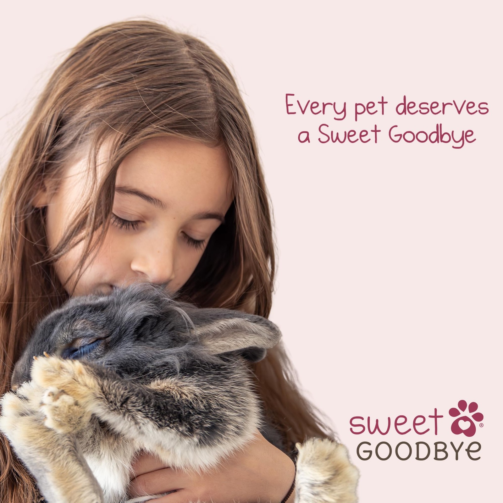 Sweet Goodbye Cloud® Eco-Friendly Pet Burial & Cremation Ceremony Kit – Casket