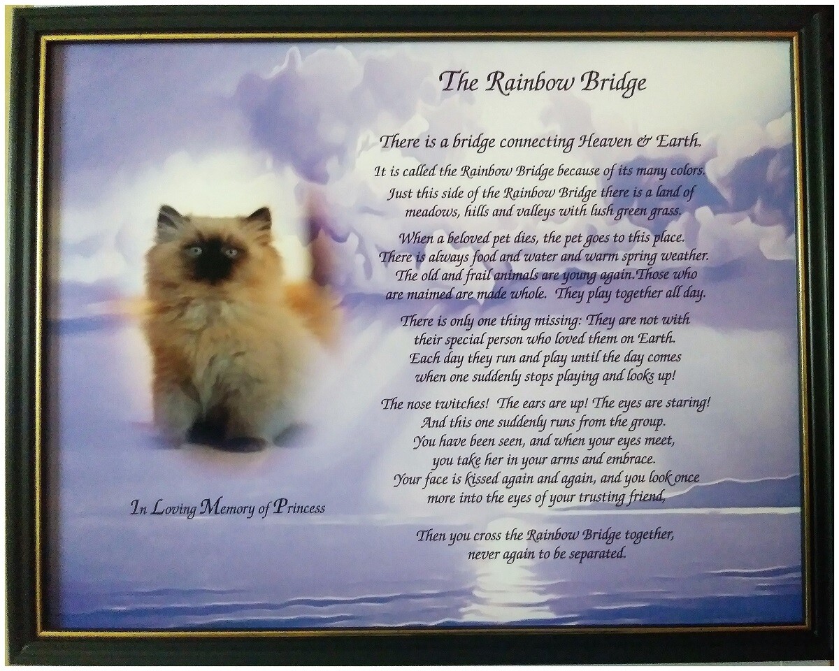 The Rainbow Bridge Memorial 14″ x11″ Photo Gift for Loss of a Pet Optional FRAME