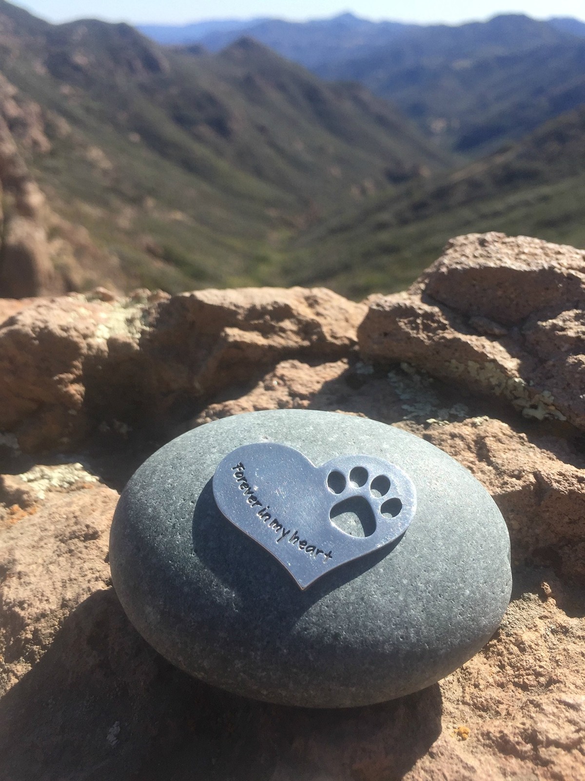 Comforting Dog Memorial Gift – Sympathy or Condolence Gift for Loss of Pet – …