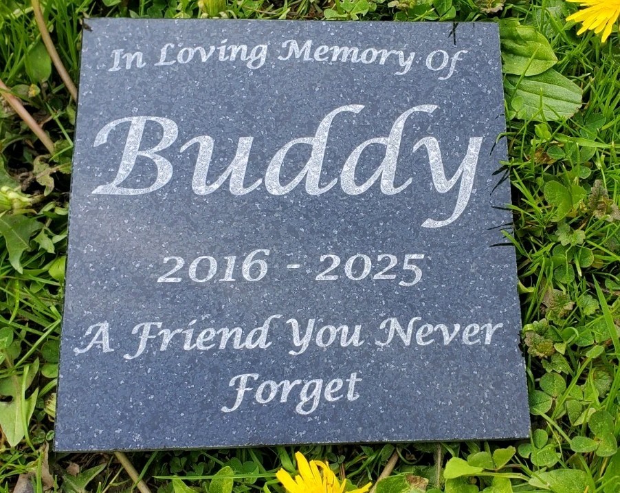 Pet Memorial Granite Stone Engraved Grave Marker Headstone Garden Plaque d6
