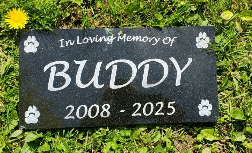 Pet Memorial Grave Marker Headstone Garden Plaque Dog Granite Cemetary Stone t12