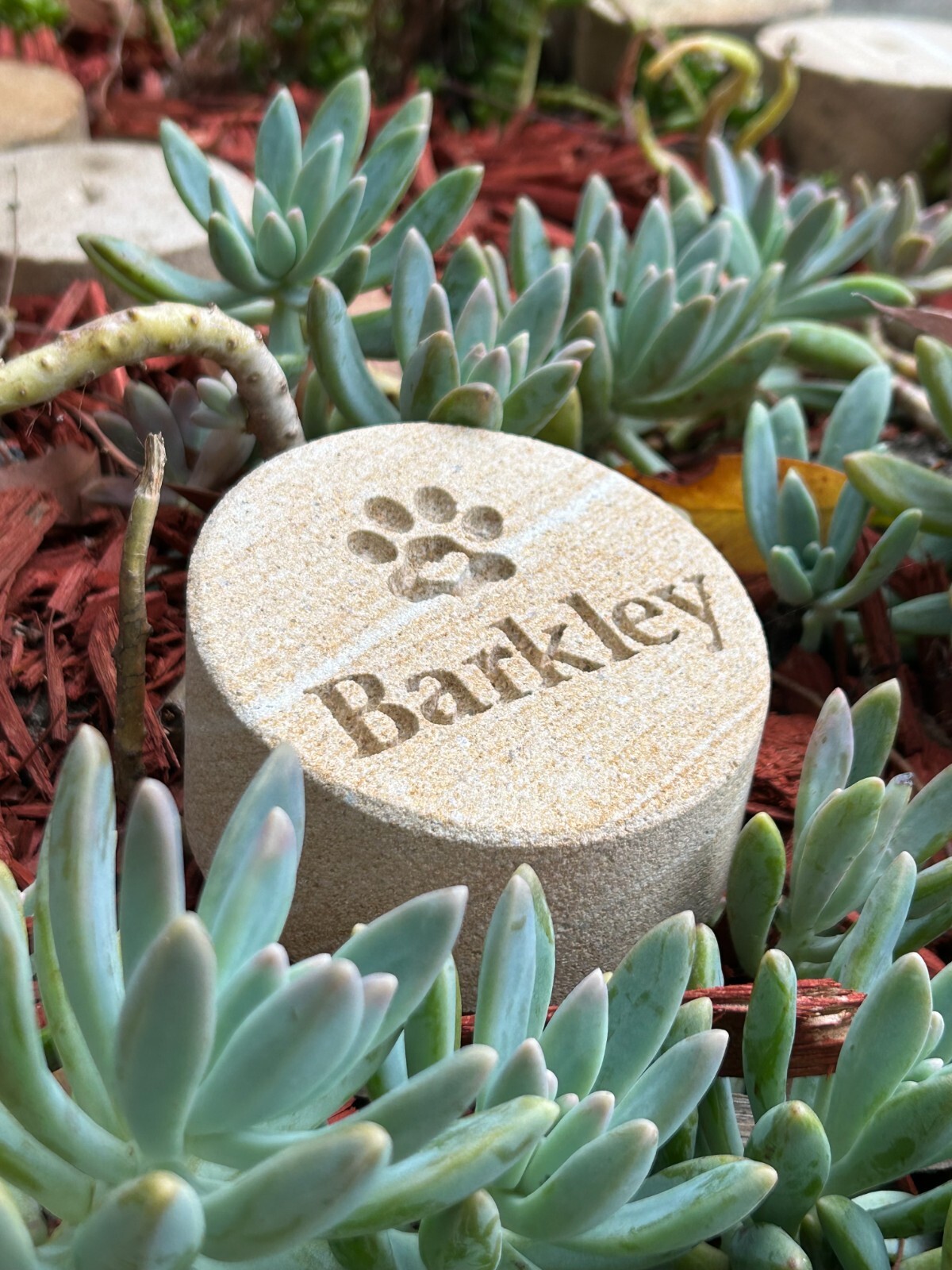 Memorial Keepsake for Pets Personalised Sand stone