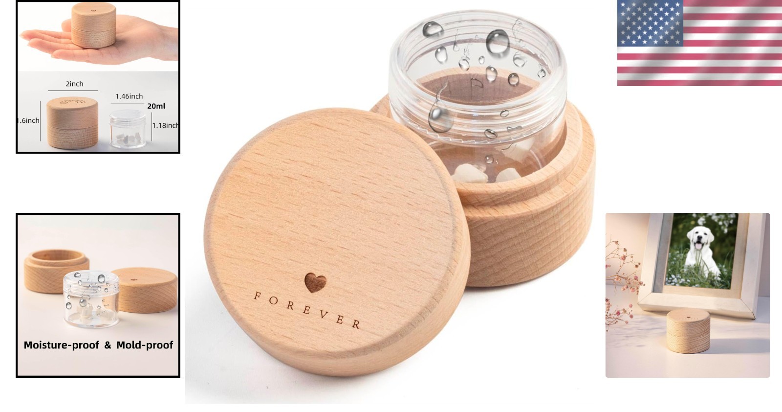 Elegant Heart-Shaped Pet Ashes Urn with Transparent Box – Forever Remembered