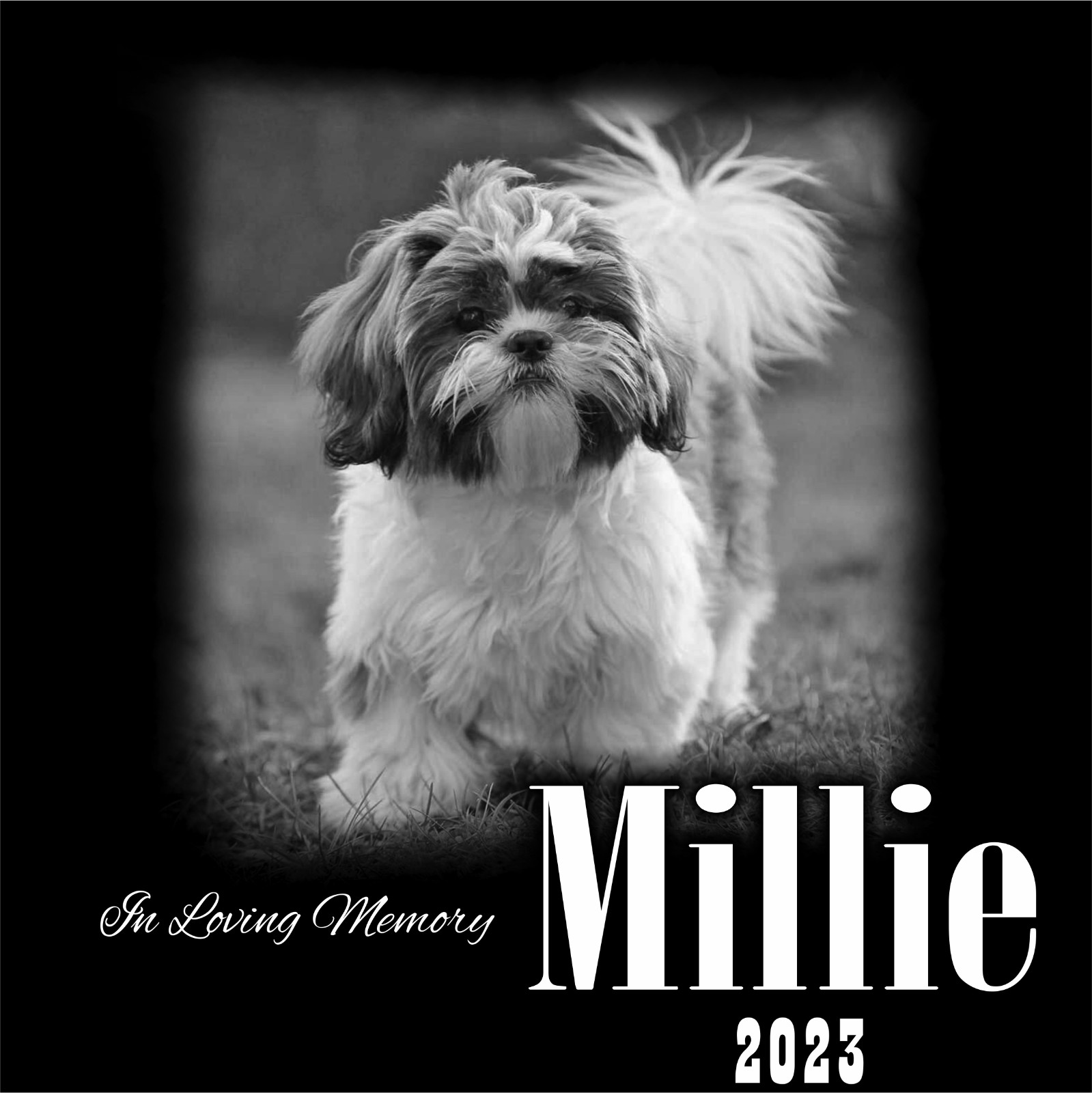 Personalized Pet Memorial Grave Marker Granite Plaque Human headstone dog 12×12