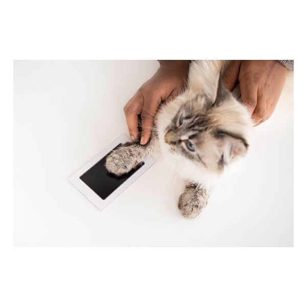 Clean Touch Ink Pad Paw Print For Pet Dog Cat Scrapbooks Imprint Card Making Kit