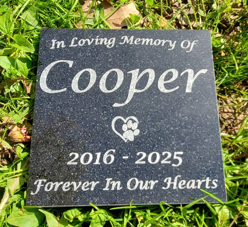 Pet Memorial Granite Stone Engraved Grave Marker Headstone Garden Plaque d5