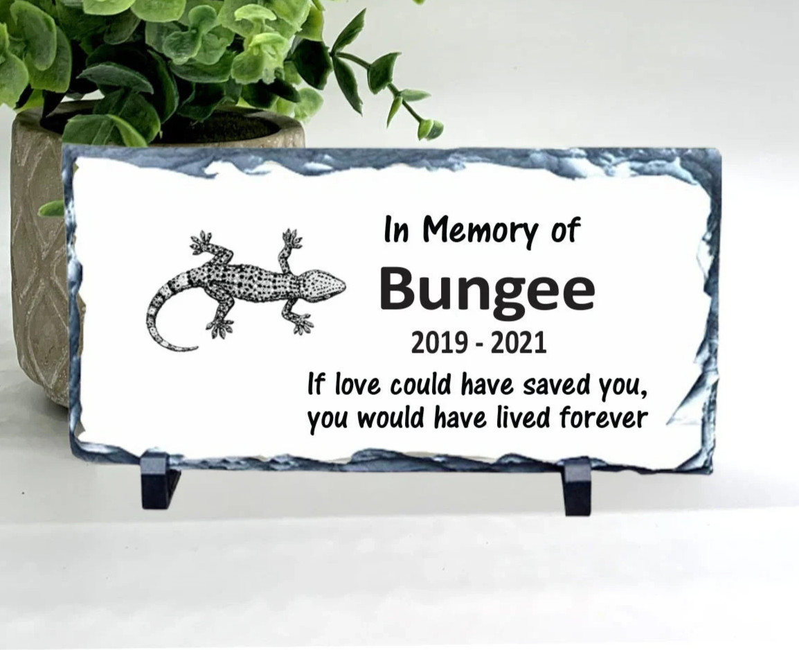 Spotted Gecko Memorial – Personalized Pet Memorial Stone- Pet Loss sympathy Gift