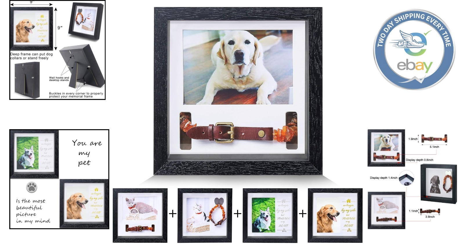 Durable Pet Collar Keepsake Frame – 9-Inch Memorial Tribute for Beloved Pets