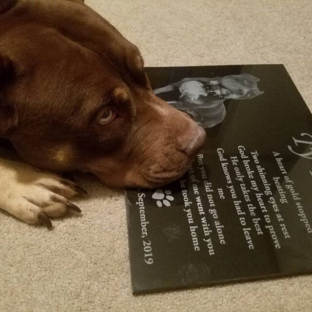 Tombstone Paw Print Pet Memorial Stone Gravestone Picture Grave Garden Dog Puppy