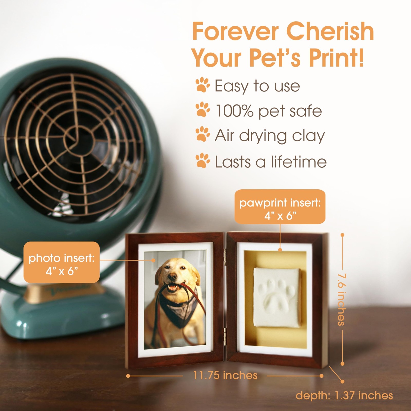 Pearhead Pet Paw Print Memorial Frame with Clay Imprint Kit, Dog & Cat Pawpri…