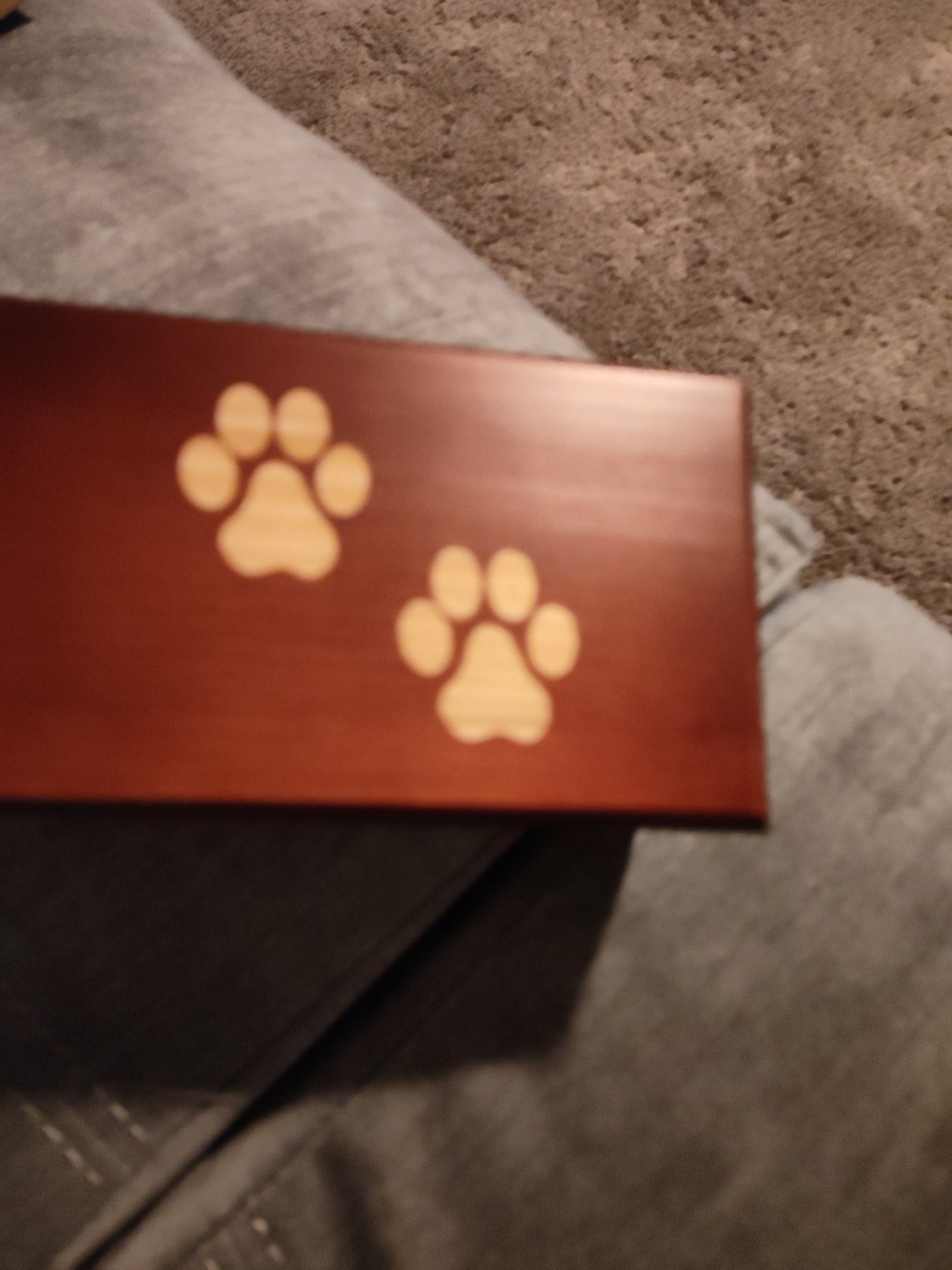 Lg Pet Cremation Urn Inlay Paw Print Wood Box Cat Dog Ashes Memorial Chest 10”