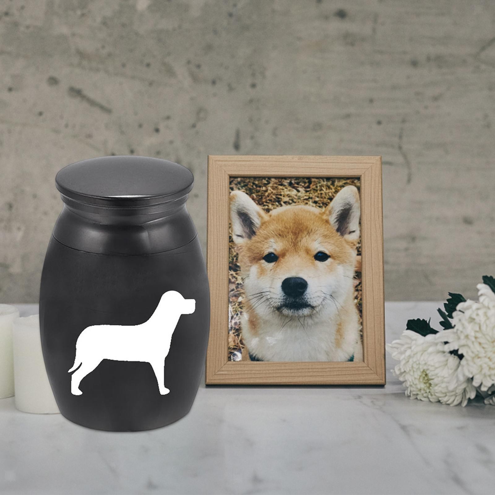 Pet Cremation Urn Ash Urns Perfect for Dogs Lightweight Portable Accessories Met