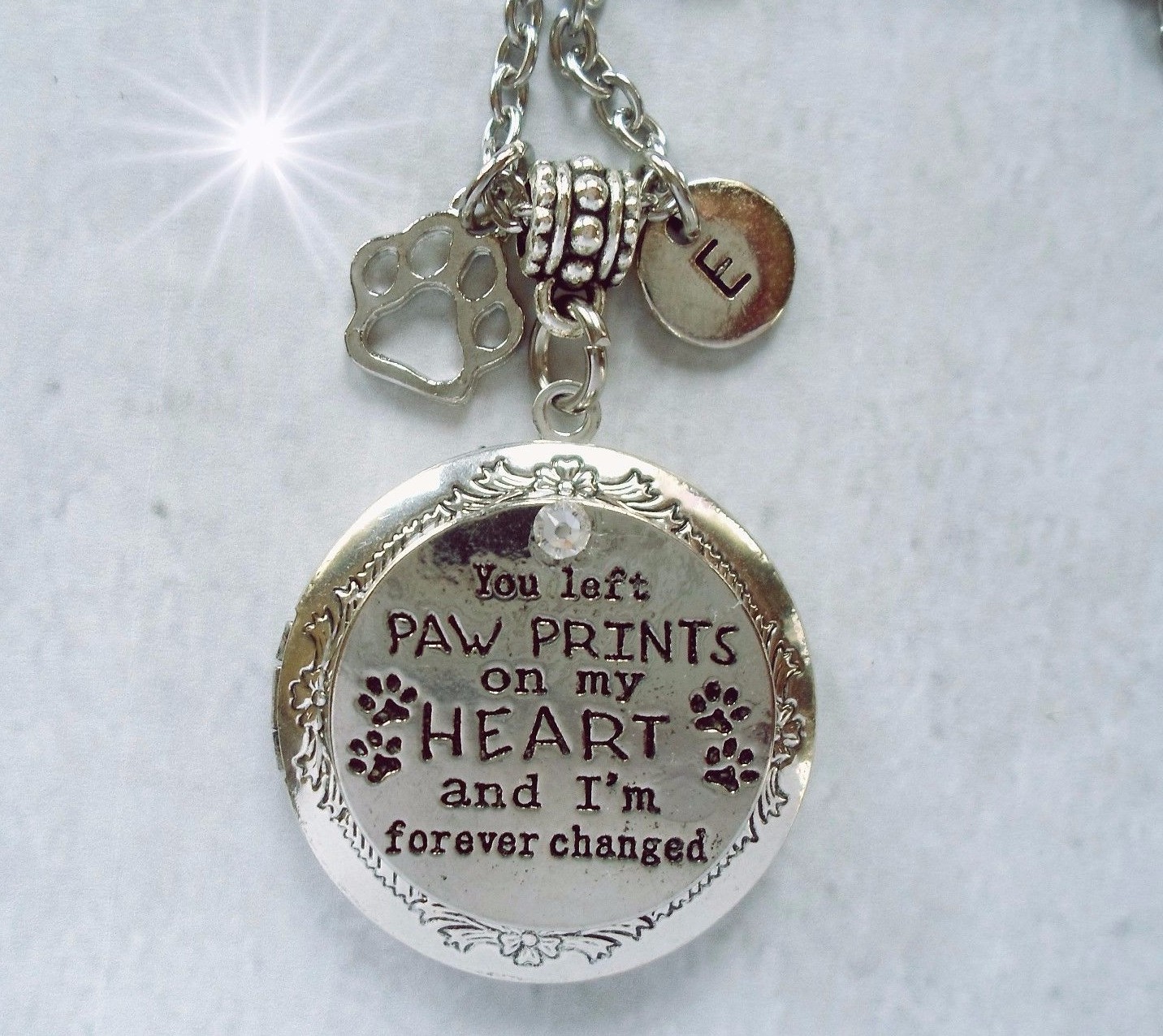You Left Paw Prints on My Heart Pet Memorial Locket with Your Photo, Cat, Dog