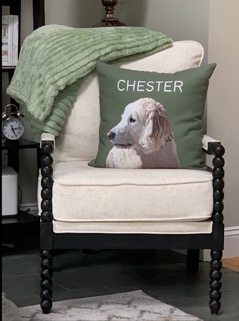 Custom Pet Photo Throw Pillow Insert Included Printed on 2 Sides Made in USA