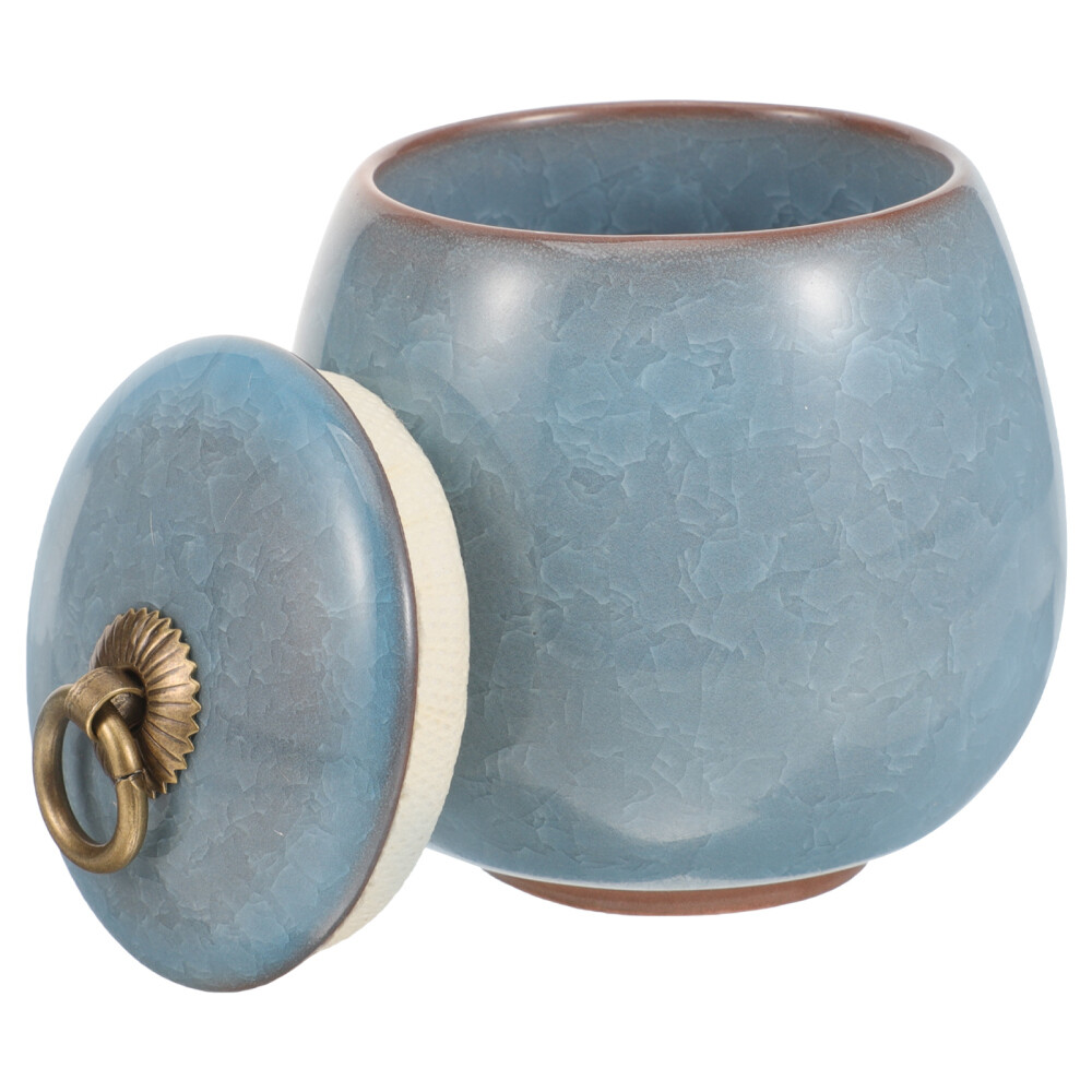 Pet Urns for Cats Blue Mini Keepsake Sympathy Ashes Storage