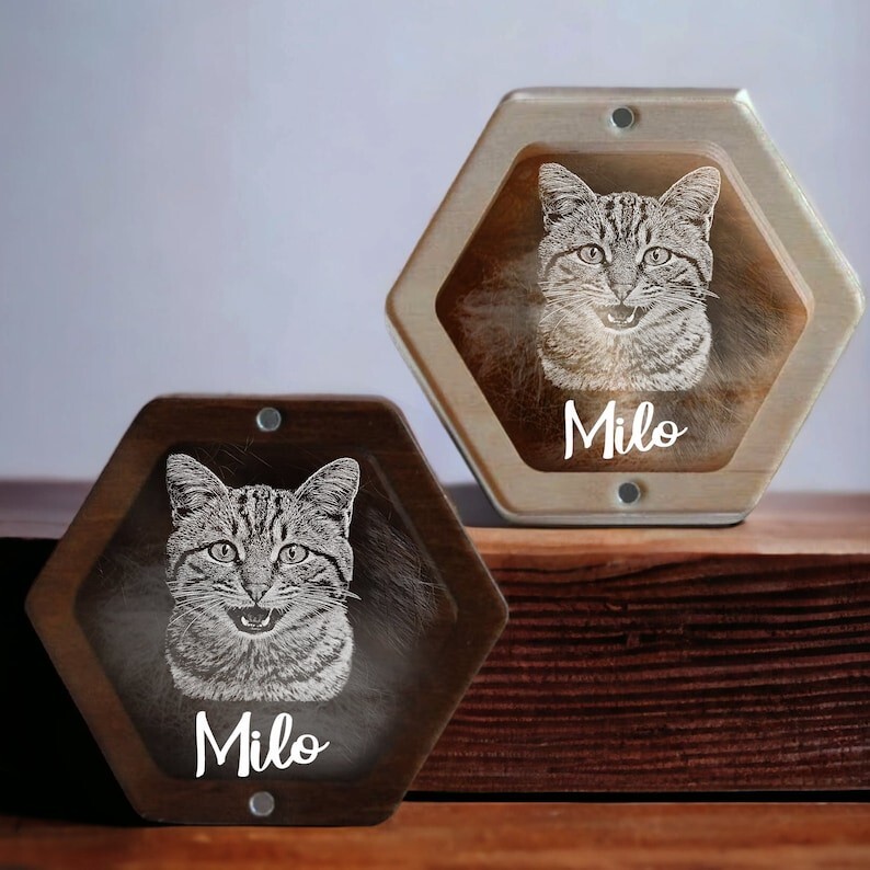 Custom Pet Loss Gifts, Cat Fur Memorial Box, Personalized Dog Portrait Gift