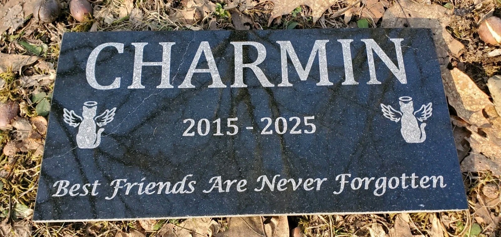 Cat Pet Memorial Granite Stone Engraved Grave Marker Headstone Garden Plaque t8
