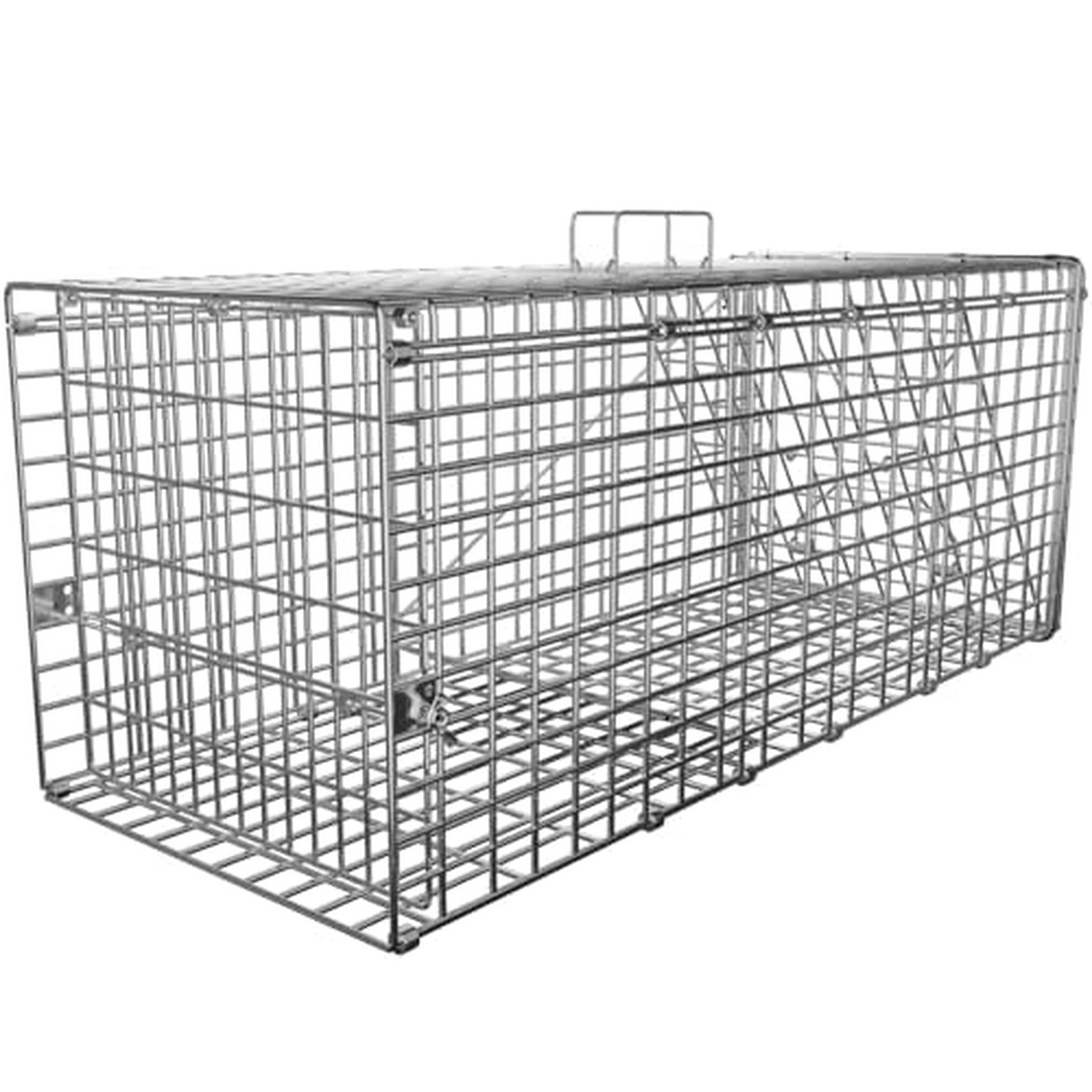 Live Animal Cage Trap, 31″ x 11″ x 12″ Heavy Duty Folding Raccoon Traps, Huma…