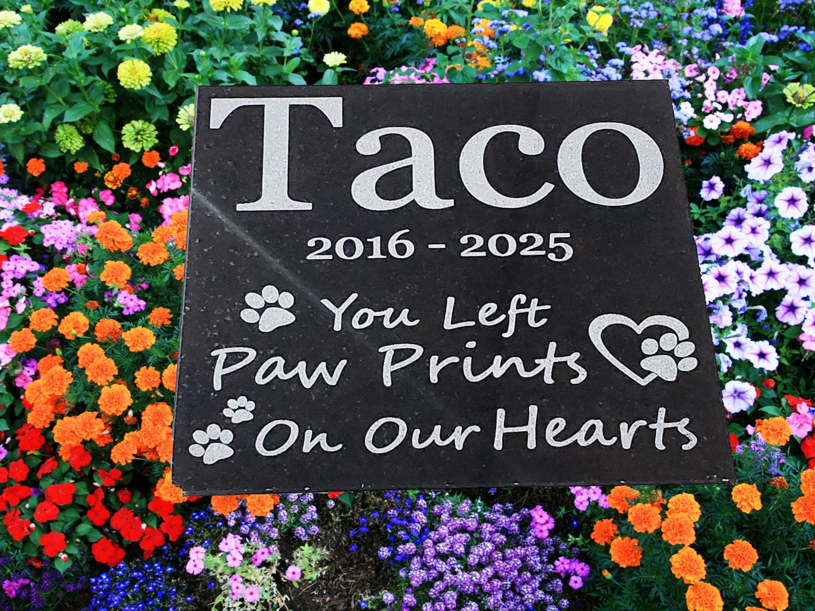 Pet Memorial Grave Stone Garden Headstone Cemetery Burial Marker for Cat Dog d9