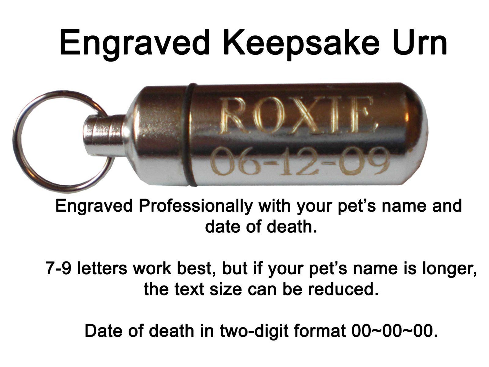 Engraved Pet Keepsake Urn Memorial Key Chain Dog Cat Any Type of Pet