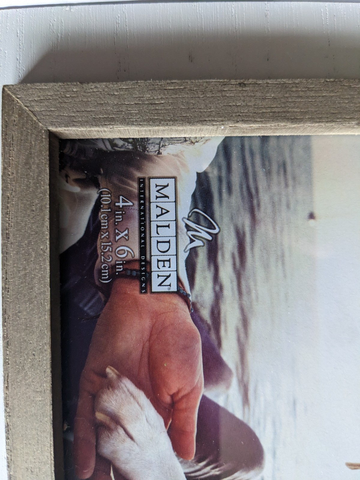 Puppy Dog Best Friend Memorial Photo Frame 4×6 Print Pet White New In Package