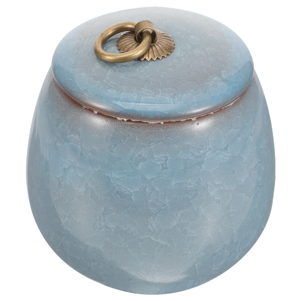 Pet Urns for Cats Blue Mini Keepsake Sympathy Ashes Storage