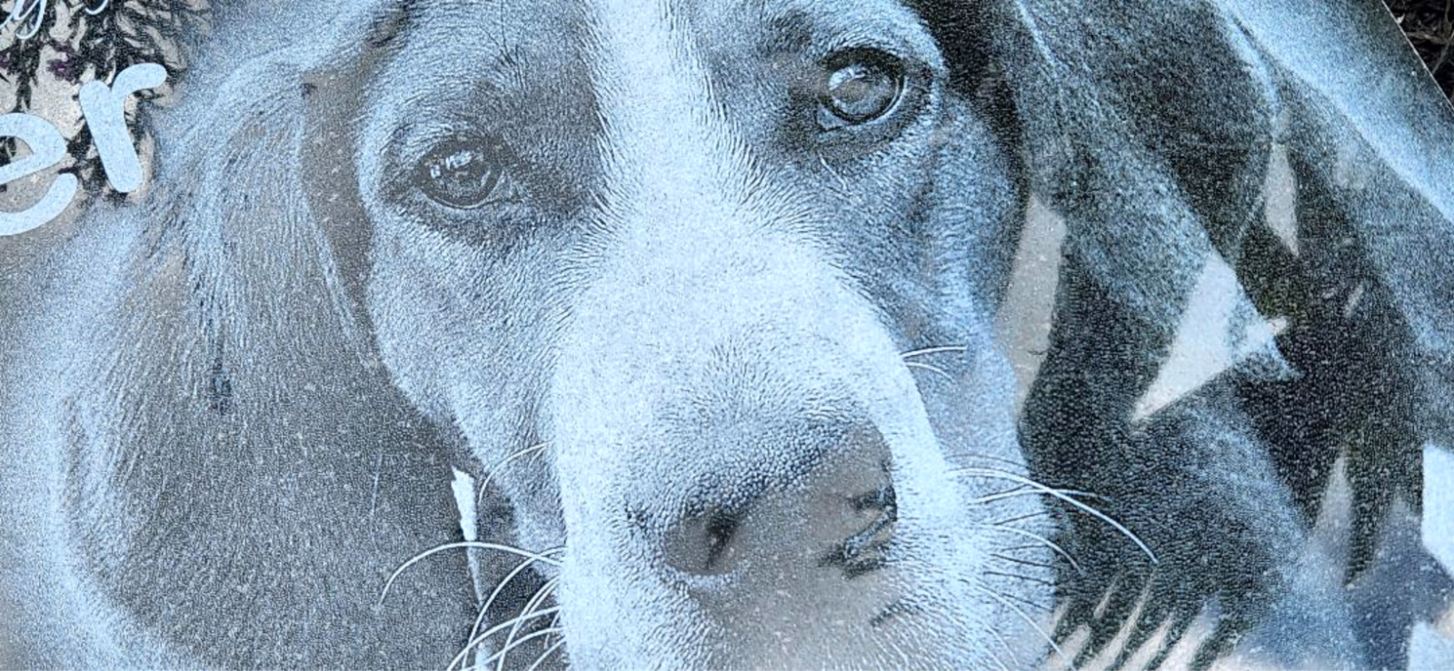 Pet Stone Memorial Grave Marker pet grave stone Headstone Person Dog 10″x18″