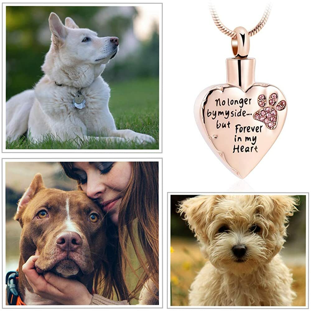 Pet Love Memorial Pendant Chain Dog Paw/ Cat Paw Carved Locket Cremation Jewelry
