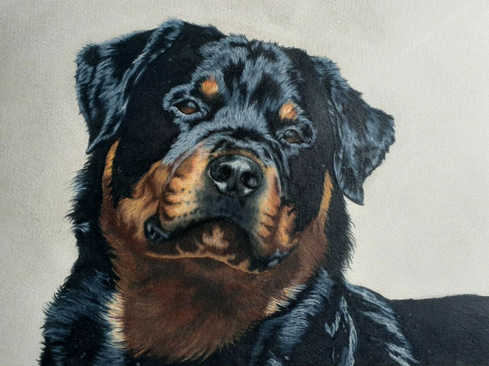 Pet Portrait A4 – Hand drawn, custom made, unique personalized gift