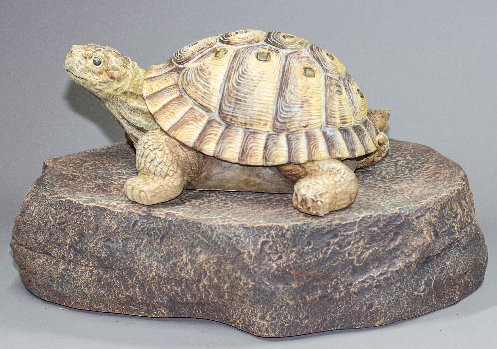Turtle Urn Pet Ashes Unique Memorial Headstone Plaque Cremation Statue Keepsake