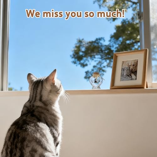 Heart-Shape Glass Jar & Bottle for Pet Memorial – Love My Cat