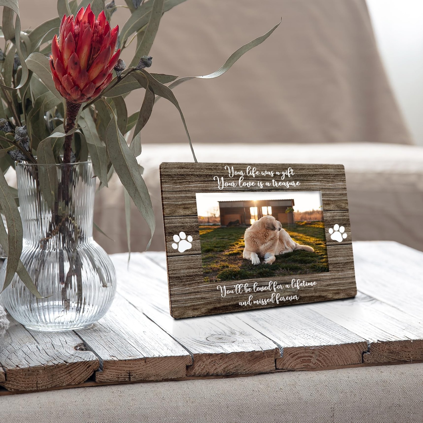 Dog Memorial Picture Frame 8×10, Pet Memorial Picture Frame, Pet Memorial Gif…