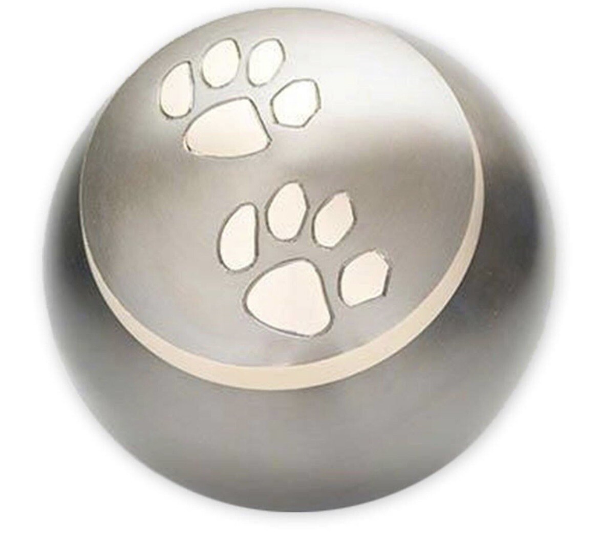 Dog Cremation Urn for Dogs and Cats — Brushed