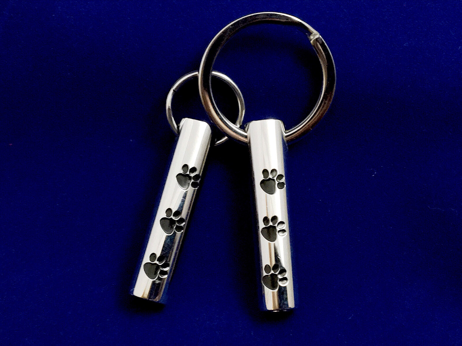 Pet Cremation Pendant Urn Keychain 1″ Key Ring for Ashes Dog Cat Paw Prints