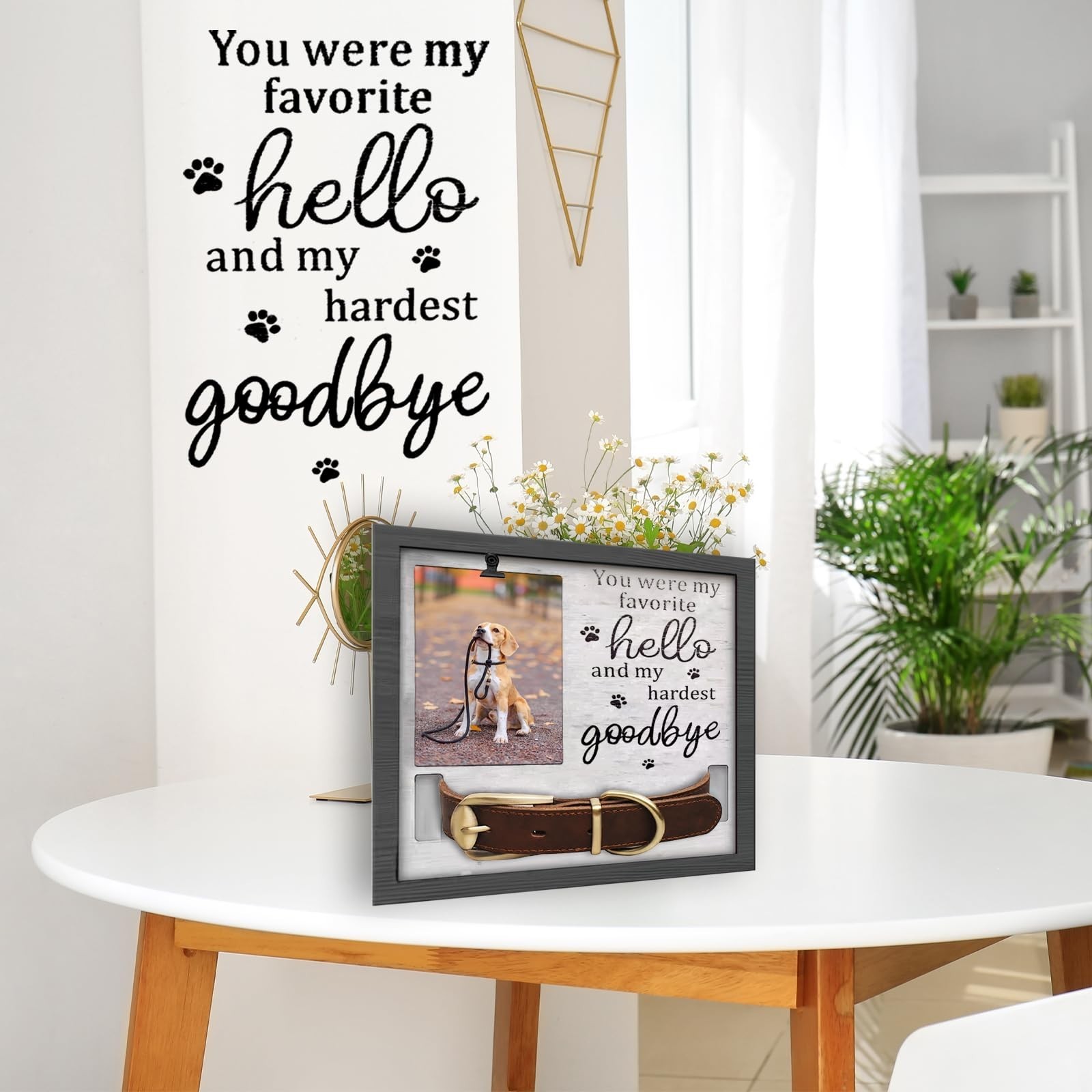 Pet Memorial Frames for Loss of Dog, in Memory of Dog or Cat Passing Away, Pe…